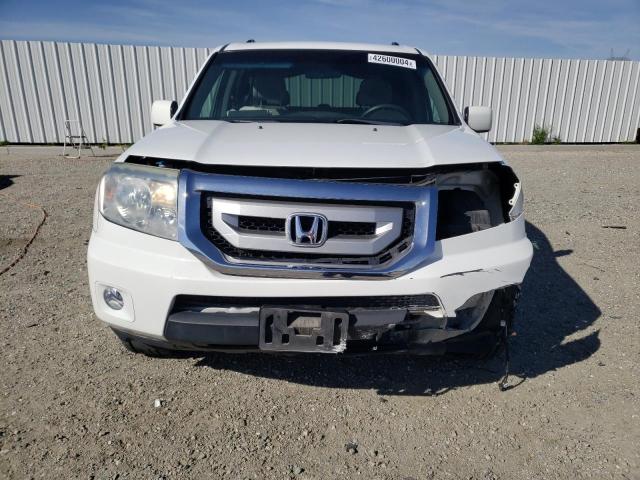 5FNYF3H41BB016612 - 2011 HONDA PILOT EX WHITE photo 5