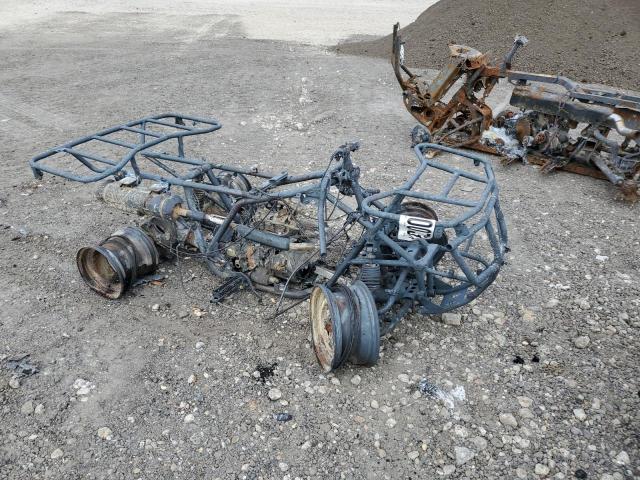 1HFTE2139L4403917 - 2020 HONDA TRX250 TM BURN photo 1