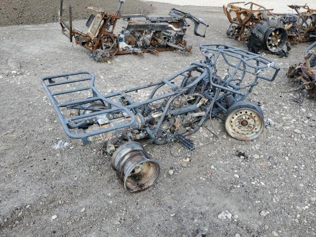 1HFTE2139L4403917 - 2020 HONDA TRX250 TM BURN photo 4