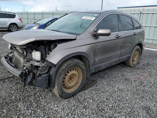 5J6RE4H55BL819565 - 2011 HONDA CR-V EX TAN photo 1