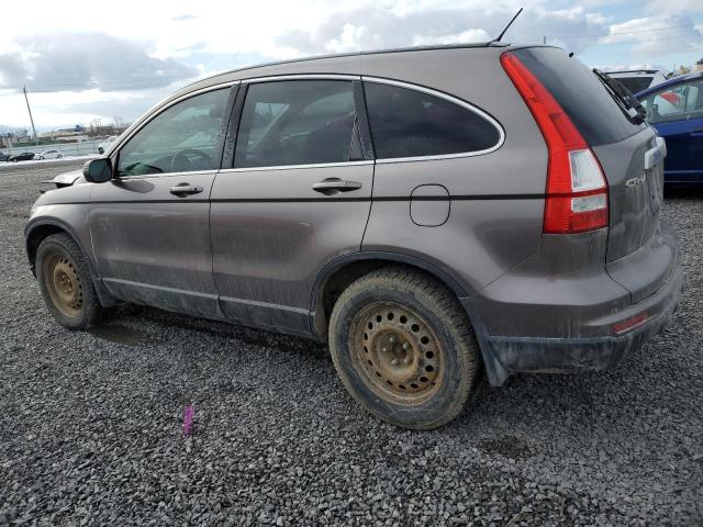 5J6RE4H55BL819565 - 2011 HONDA CR-V EX TAN photo 2