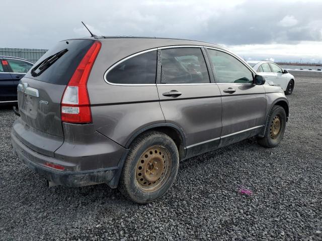 5J6RE4H55BL819565 - 2011 HONDA CR-V EX TAN photo 3