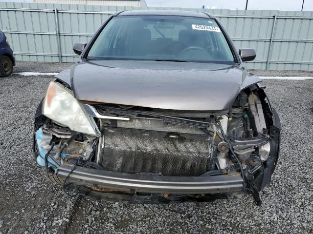 5J6RE4H55BL819565 - 2011 HONDA CR-V EX TAN photo 5