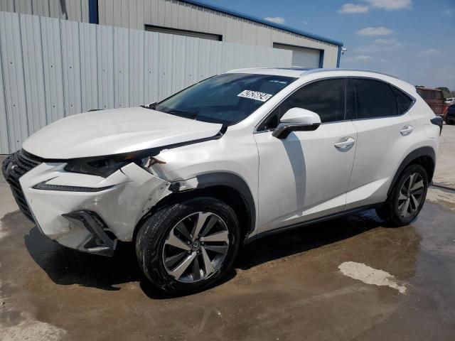 JTJYARBZ4J2091132 - 2018 LEXUS NX 300 BASE Ağ foto 1