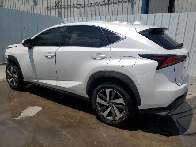 JTJYARBZ4J2091132 - 2018 LEXUS NX 300 BASE Ağ foto 2