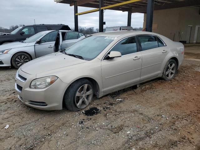 1G1ZC5EU6BF353584 - 2011 CHEVROLET MALIBU 1LT TAN photo 1