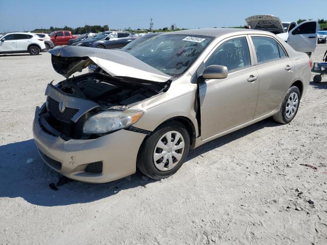 1NXBU4EEXAZ339914 - 2010 TOYOTA COROLLA BASE TAN photo 1