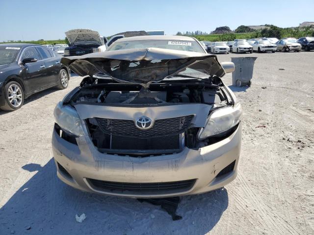 1NXBU4EEXAZ339914 - 2010 TOYOTA COROLLA BASE TAN photo 5