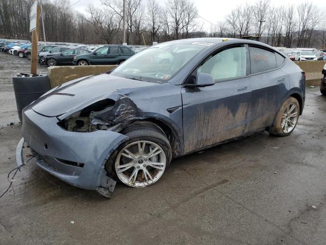 2023 TESLA MODEL Y, 