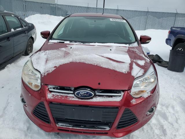 1FADP3F29EL384136 - 2014 FORD FOCUS SE BURGUNDY photo 5