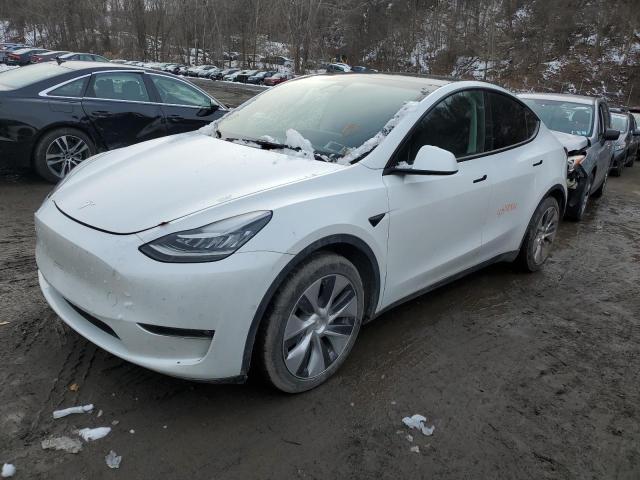 5YJYGDEE4MF203684 - 2021 TESLA MODEL Y WHITE photo 1