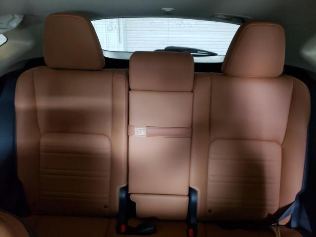 JTJDARBZ9M2187907 - 2021 LEXUS NX 300 BASE 黑色 照片 10