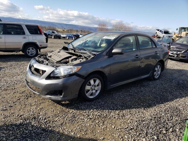 2T1BU4EE9AC322622 - 2010 TOYOTA COROLLA BASE GRAY photo 1