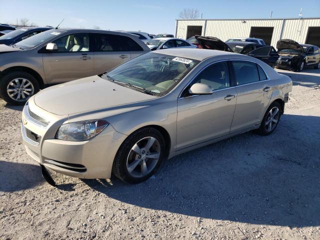 1G1ZC5E15BF200720 - 2011 CHEVROLET MALIBU 1LT 米色 照片 1