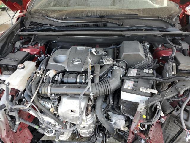 JTJSARBZ9M5025278 - 2021 LEXUS NX 300 BASE წითელი ფოტო 11