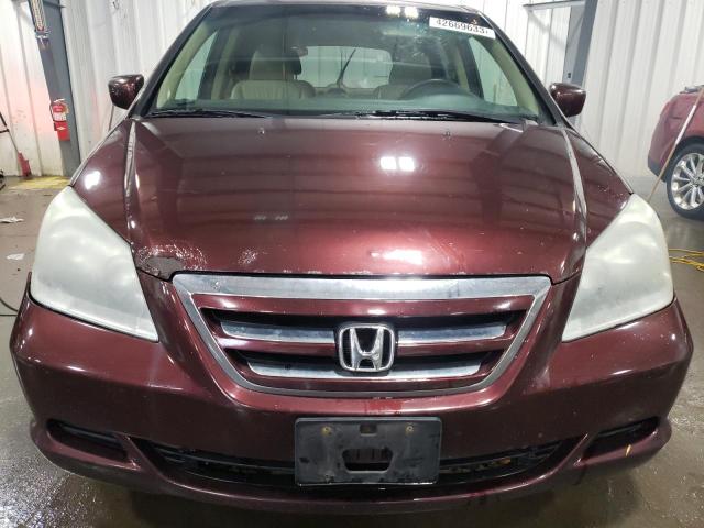 5FNRL38777B098361 - 2007 HONDA ODYSSEY EXL PURPLE photo 5