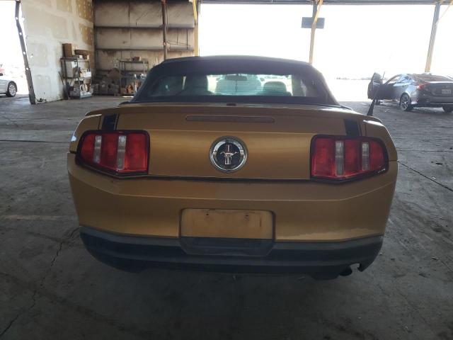 1ZVBP8EN5A5127707 - 2010 FORD MUSTANG GOLD photo 6