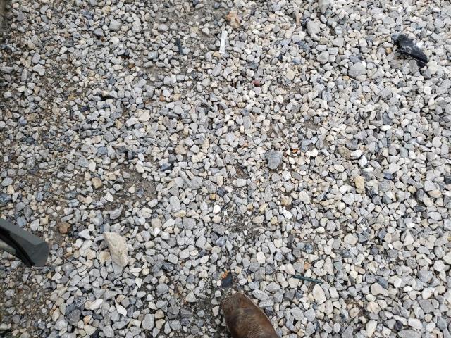 WA1C4AFY9K2004490 - 2019 AUDI SQ5 PRESTIGE GRAY photo 13