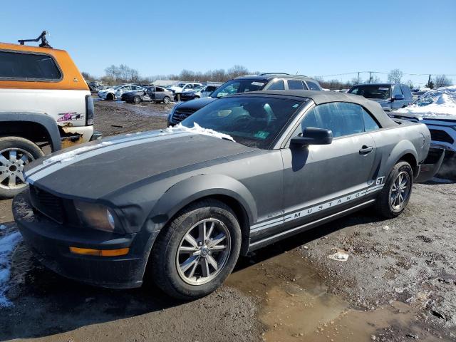 1ZVFT84N355250393 - 2005 FORD MUSTANG BLACK photo 1
