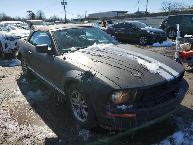 1ZVFT84N355250393 - 2005 FORD MUSTANG BLACK photo 4