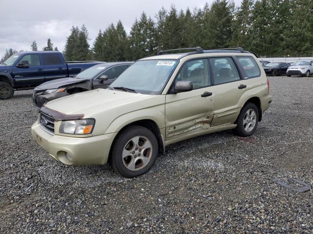 JF1SG65643H772517 - 2003 SUBARU FORESTER 2.5XS Алтын фото 1