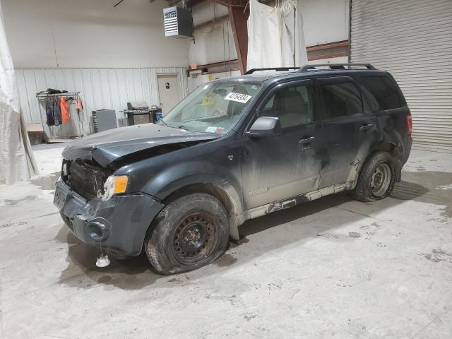 2008 FORD ESCAPE XLT, 