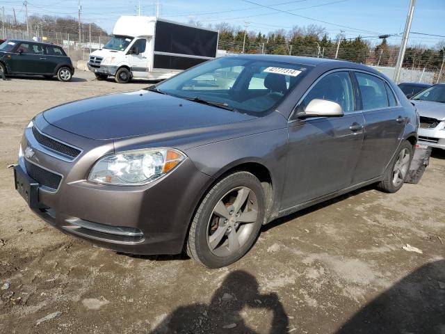 1G1ZC5E19BF358350 - 2011 CHEVROLET MALIBU 1LT 银色 照片 1