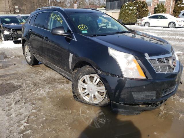 3GYFNDEY6AS516403 - 2010 CADILLAC SRX LUXURY COLLECTION BLACK photo 4