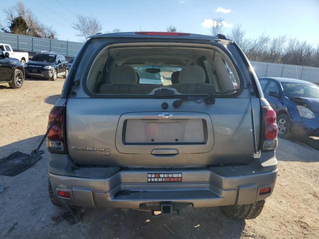 1GNDT13S052341784 - 2005 CHEVROLET TRAILBLAZE LS GRAY photo 6