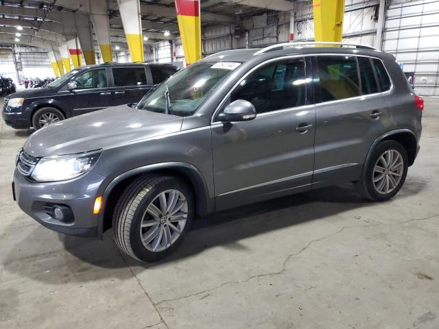 WVGBV7AX3DW012902 - 2013 VOLKSWAGEN TIGUAN S GRAY photo 1