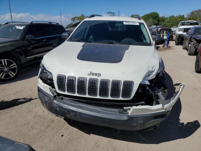 1C4PJMBN3KD133567 - 2019 JEEP CHEROKEE TRAILHAWK 白色 照片 5