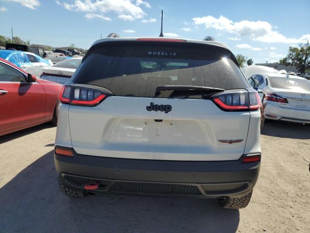 1C4PJMBN3KD133567 - 2019 JEEP CHEROKEE TRAILHAWK 白色 照片 6