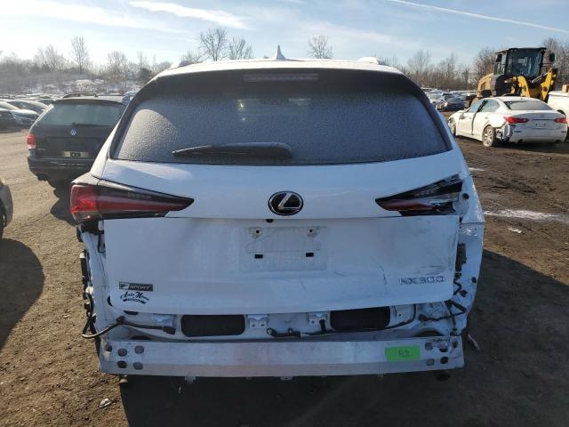 JTJSARDZ4M2248553 - 2021 LEXUS NX 300 BASE 白色 照片 6