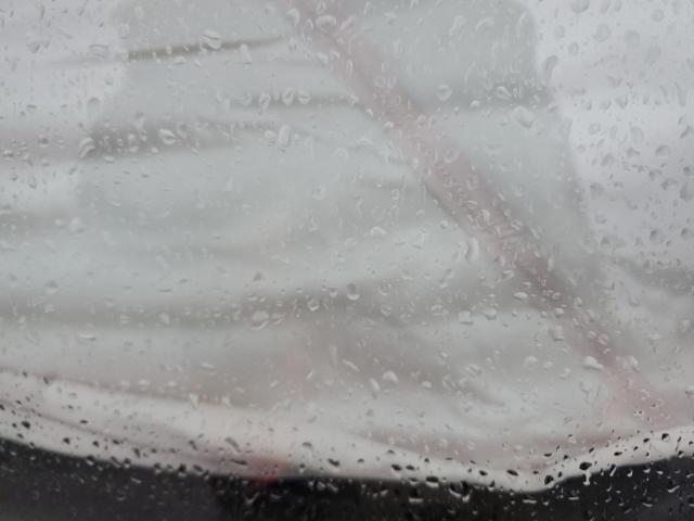 5YJSA1E49FF113947 - 2015 TESLA MODEL S წითელი ფოტო 7