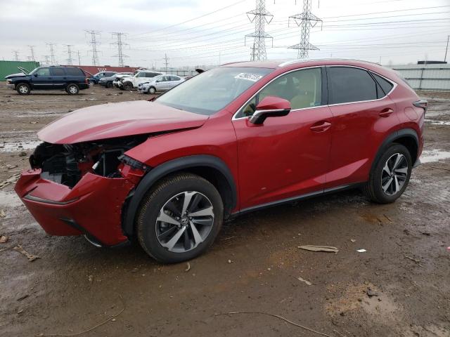 JTJBARBZ1K2213145 - 2019 LEXUS NX 300 BASE 红色 照片 1