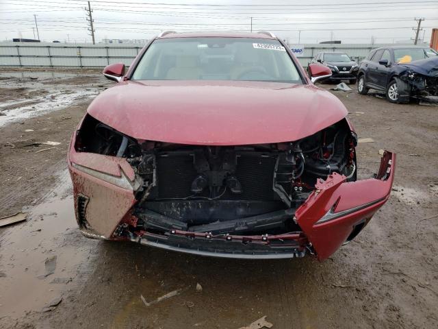 JTJBARBZ1K2213145 - 2019 LEXUS NX 300 BASE 红色 照片 5