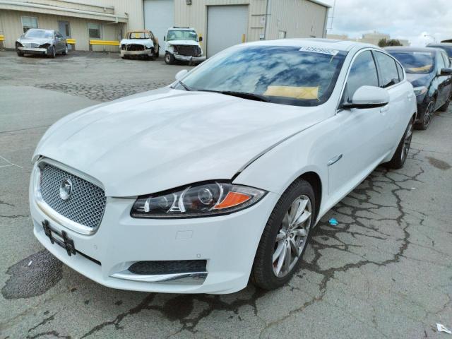 SAJWA0ES1DPS84609 - 2013 JAGUAR XF WHITE photo 2