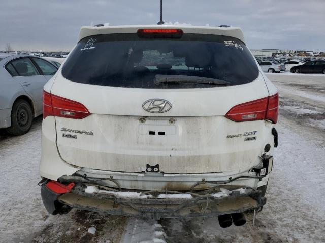 5XYZUDLA5EG172596 - 2014 HYUNDAI SANTA FE S WHITE photo 6