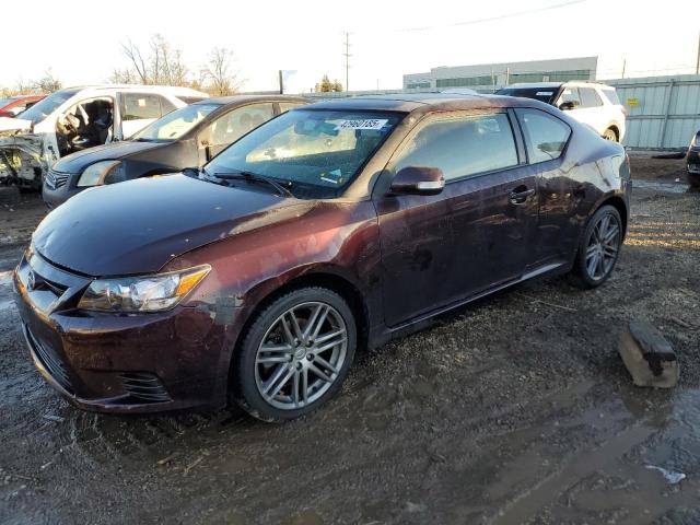 JTKJF5C75B3004189 - 2011 TOYOTA SCION TC 紫色 照片 1