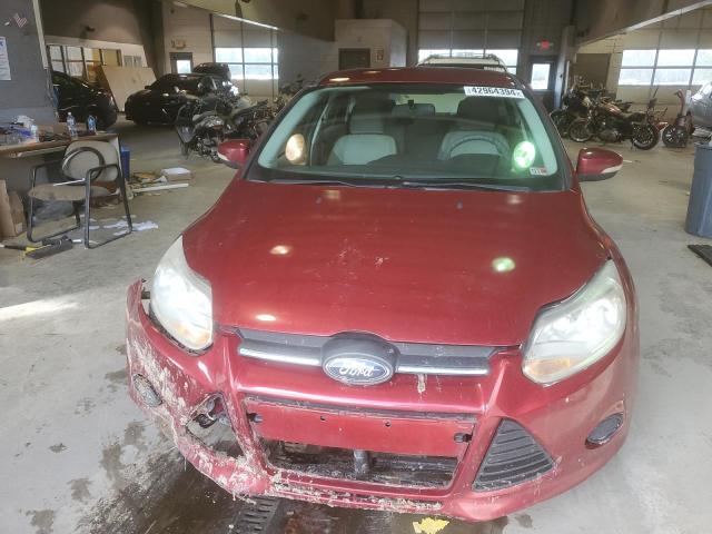 1FADP3K22DL168178 - 2013 FORD FOCUS SE BURGUNDY photo 5