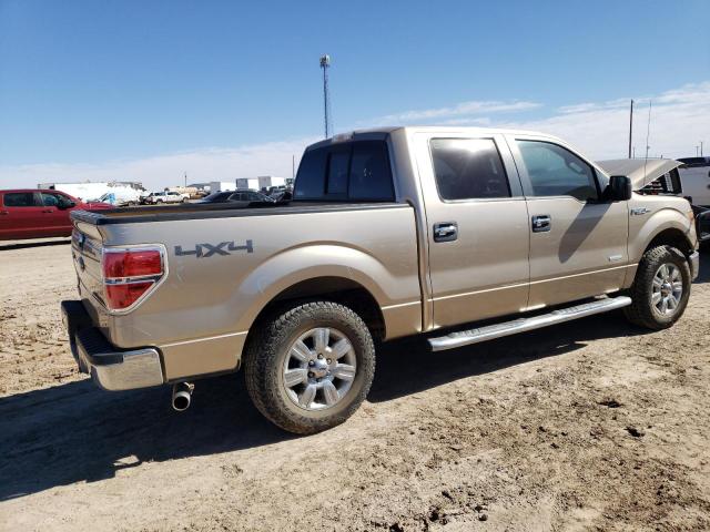 1FTFW1ET5CFB42038 - 2012 FORD F150 SUPERCREW TAN photo 3