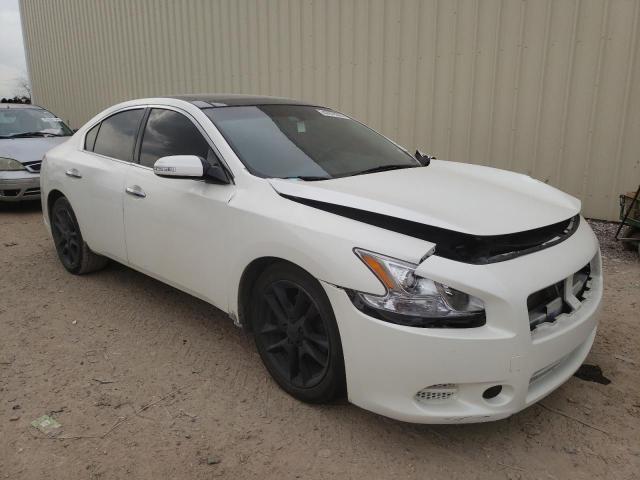 1N4AA51E89C809496 - 2009 NISSAN MAXIMA S CREAM photo 4