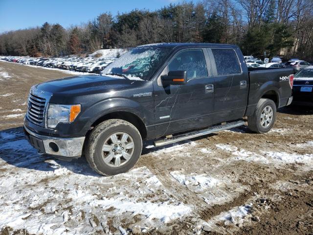 2012 FORD F150 SUPERCREW, 