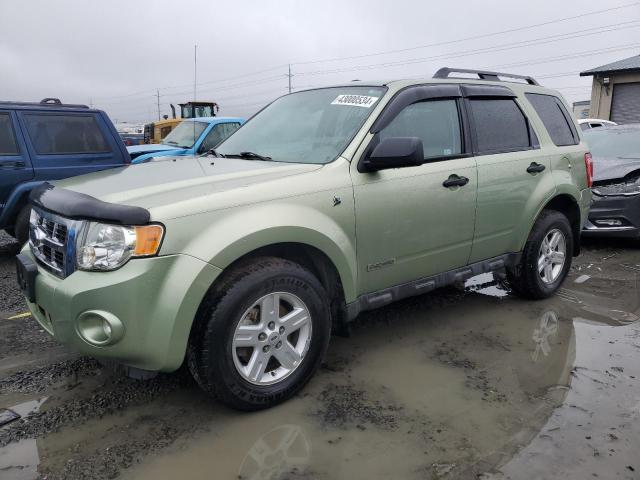 1FMCU49HX8KB75160 - 2008 FORD ESCAPE HEV GREEN photo 1