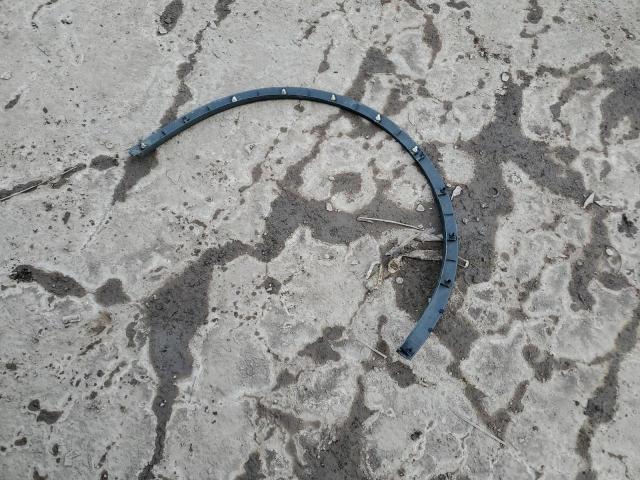 5YJYGDEE0MF175835 - 2021 TESLA MODEL Y RED photo 12