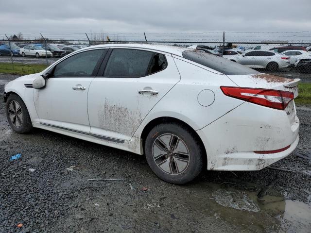 KNAGM4AD8C5034512 - 2012 KIA OPTIMA HYBRID WHITE photo 2