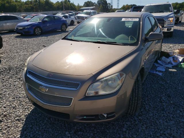 1G1ZK57728F184148 - 2008 CHEVROLET MALIBU LTZ TAN photo 2