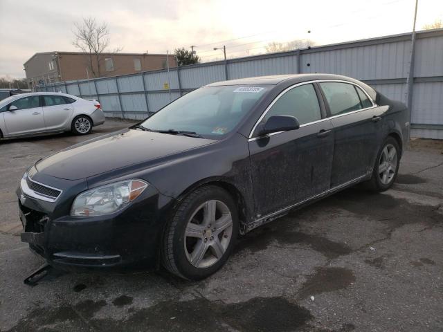 1G1ZH57B19F249110 - 2009 CHEVROLET MALIBU 1LT 黑色 照片 1