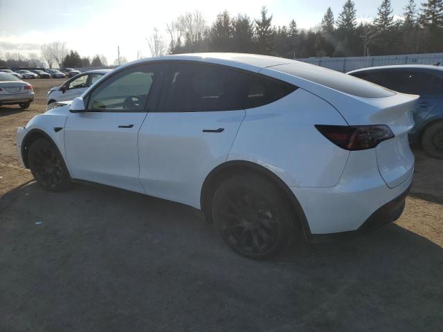 7SAYGDEE2NF449671 - 2022 TESLA MODEL Y WHITE photo 2