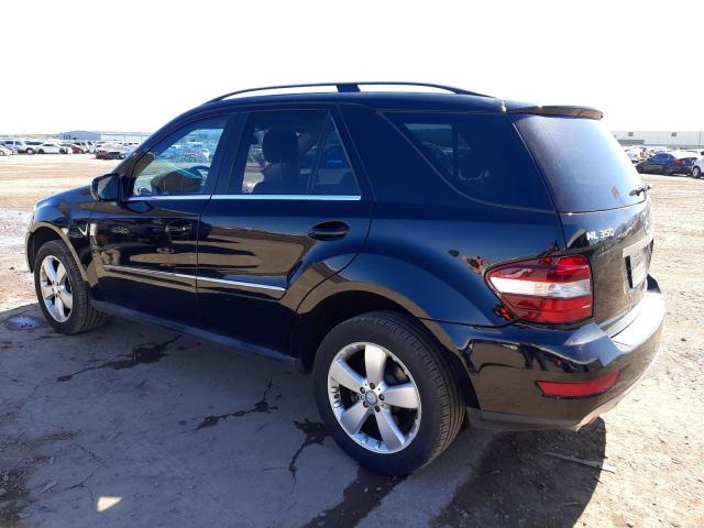 4JGBB8GB2AA581033 - 2010 MERCEDES-BENZ ML 350 4MATIC BLACK photo 2